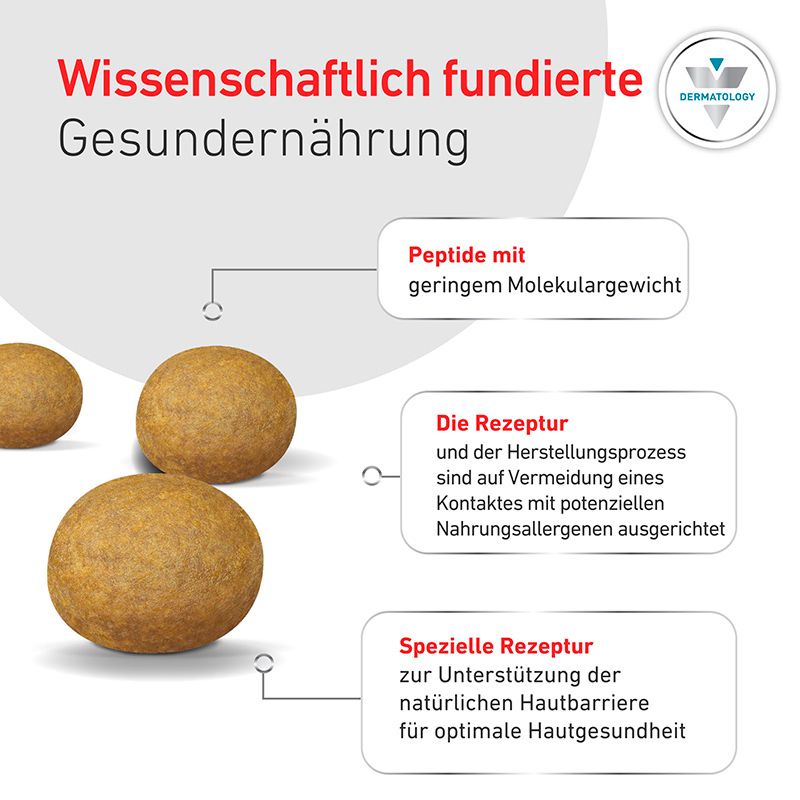 Drei runde, gelbbraune Kroketten liegen nebeneinander. Rechts daneben sind drei weiße Sprechblasen mit Text.