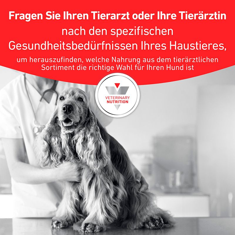 Ein Cocker Spaniel wird von einer Tierärztin gehalten. "Veterinary Nutrition" Logo.