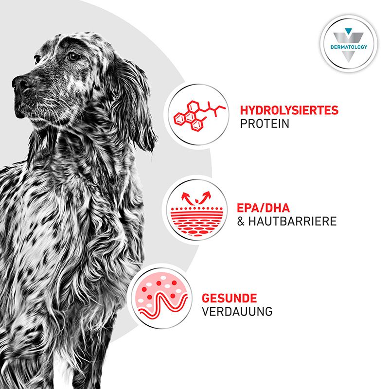 Hundefutter-Sack und Dose von Royal Canin, daneben Futterbrocken und Text über Fütterungsroutine.