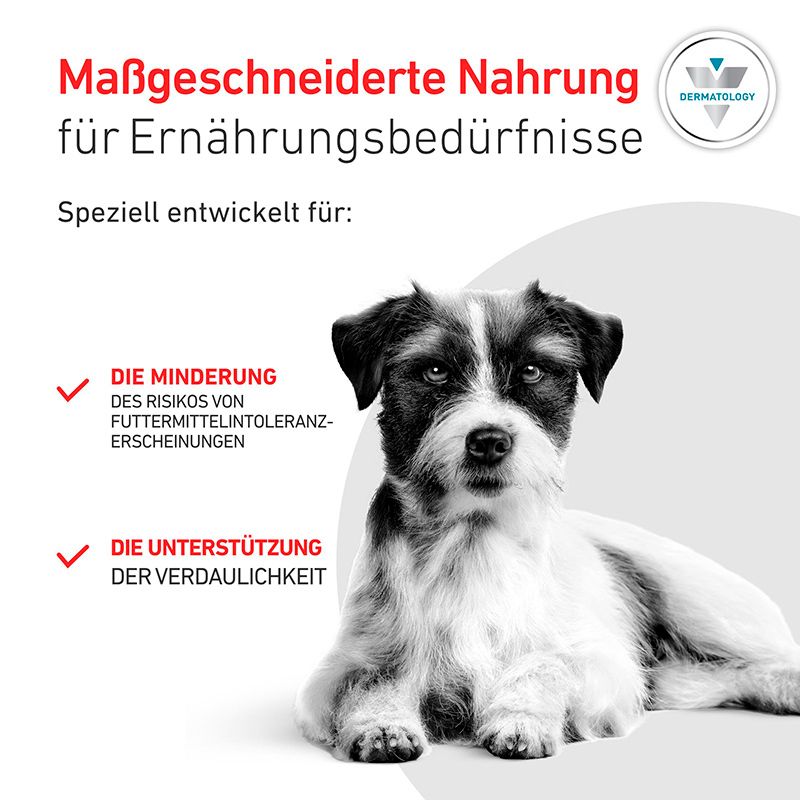Hund mit Text über maßgeschneiderte Nahrung für Ernährungsbedürfnisse und Haut- und Verdauungsvorteile.