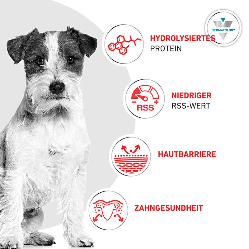 Hund mit Symbolen für hydrolysiertes Protein, niedriger RSS-Wert, Hautbarriere und Zahngesundheit. Dermatologisch getestet.