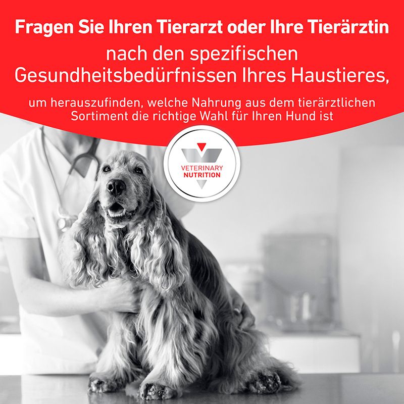 Tierarzt untersucht einen Cocker Spaniel. Text weist auf spezifische Ernährungsbedürfnisse hin.