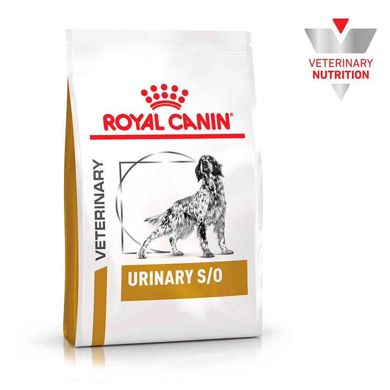 Royal Canin Veterinary Urinary S/O Hundefutter-Verpackung mit Hundemotiv.