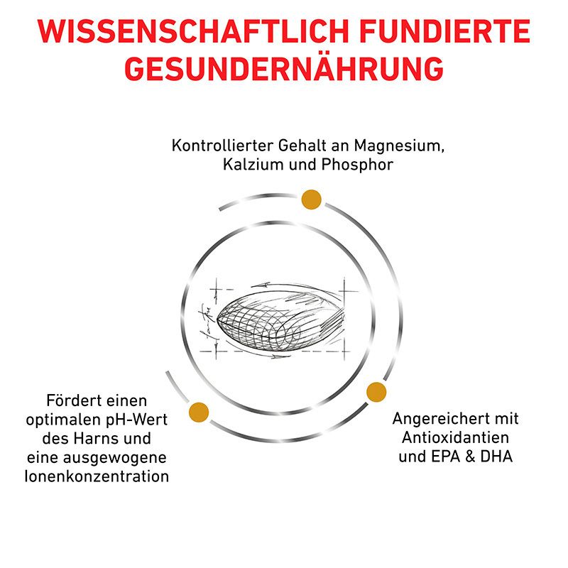 Hundenahrung für spezifische Ernährungszwecke: Erläutert Verdauungsstörungen, kontrollierten Kaloriengehalt und die Bedeutung von Magnesium, Kalzium, Phosphor, Antioxidantien, EPA & DHA.