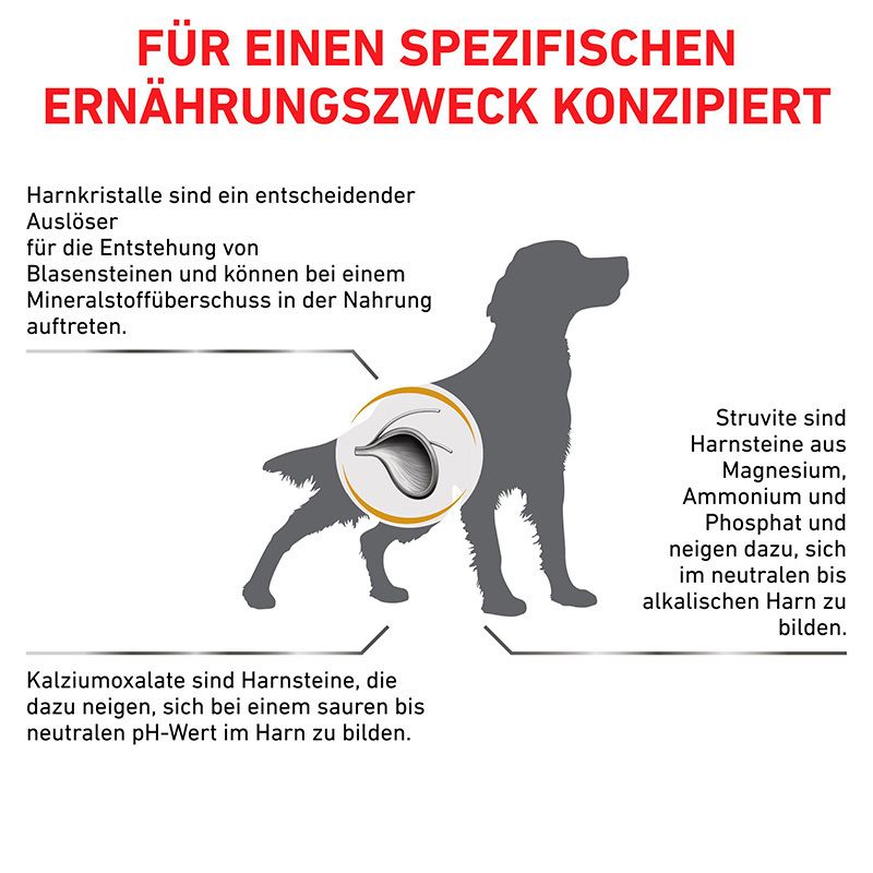 Harnsteine bei Hunden: Struvitsteine und Kalziumoxalatsteine. Speziell konzipierte Ernährung.