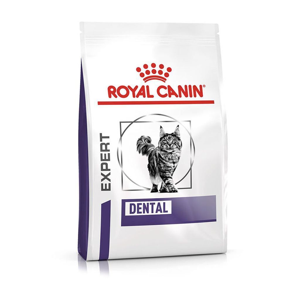 Royal Canin Dental Katzenfutter-Beutel mit einem Bild einer Katze und der Aufschrift "Expert Dental".