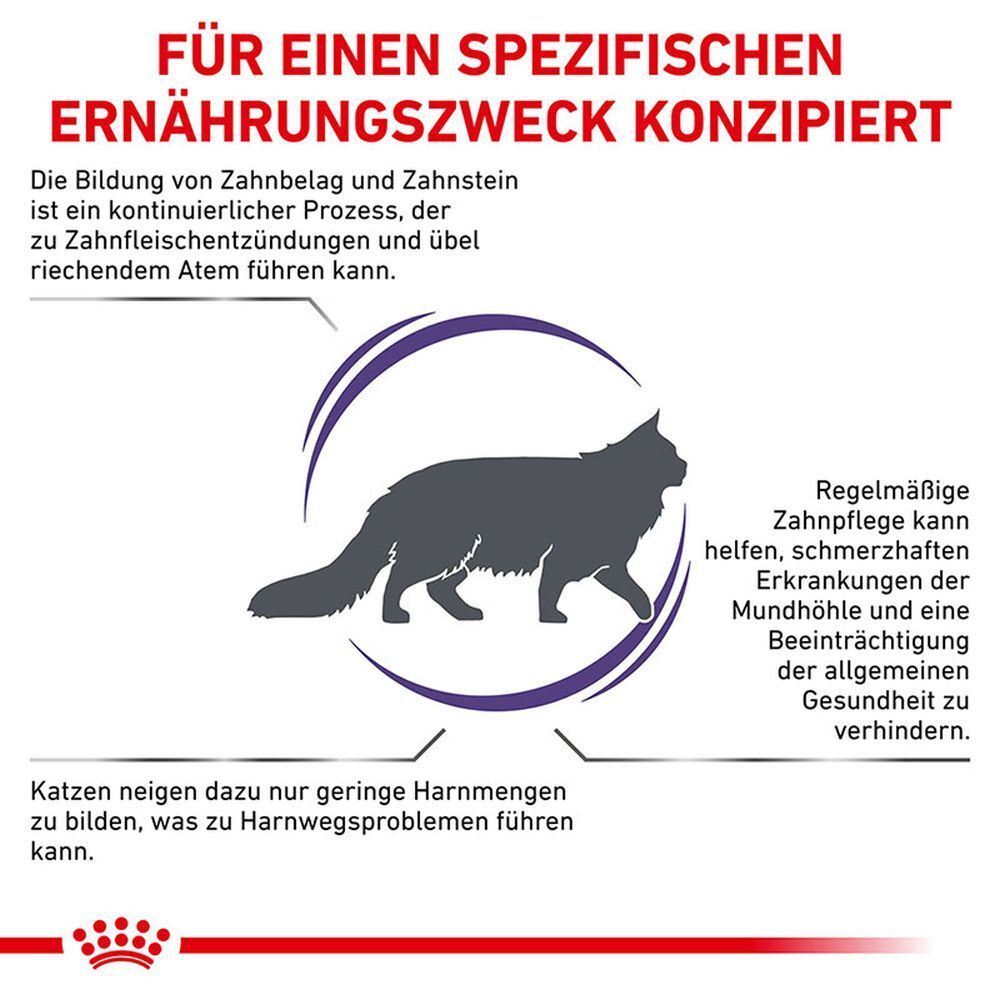 Grafik einer Katze mit Text über Zahnbelag, Zahnstein und Mundgesundheit.