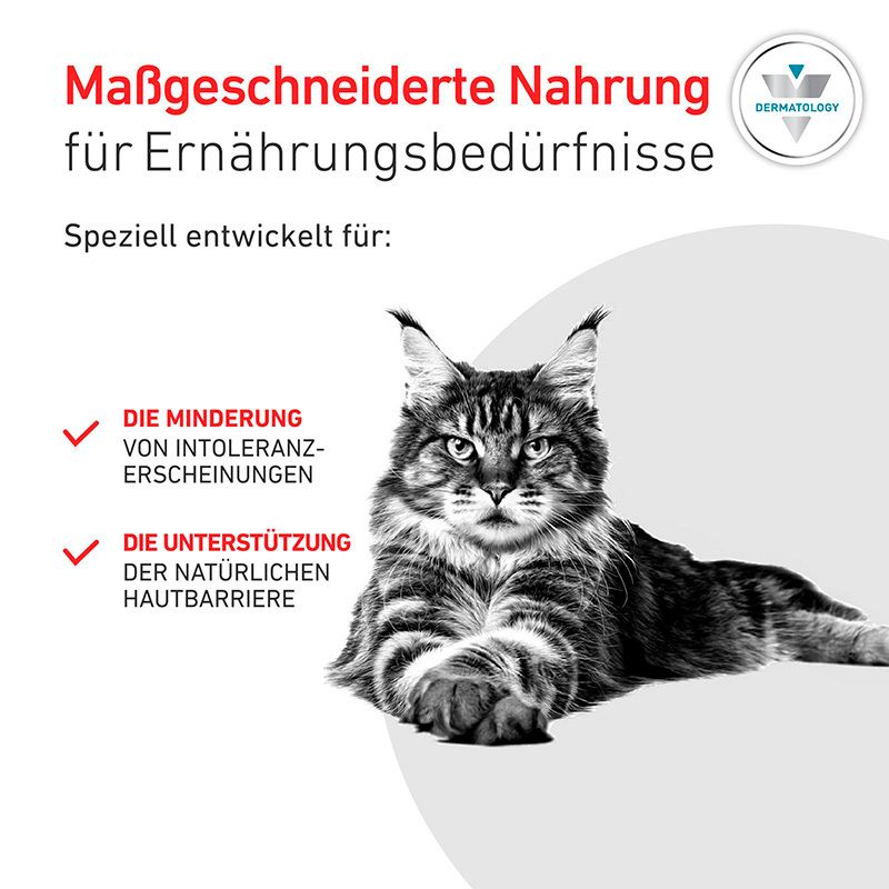 Schwarz-Weiß-Foto einer Katze. Text über maßgeschneiderte Nahrung für Ernährungsbedürfnisse, Intoleranz und Hautbarriere.