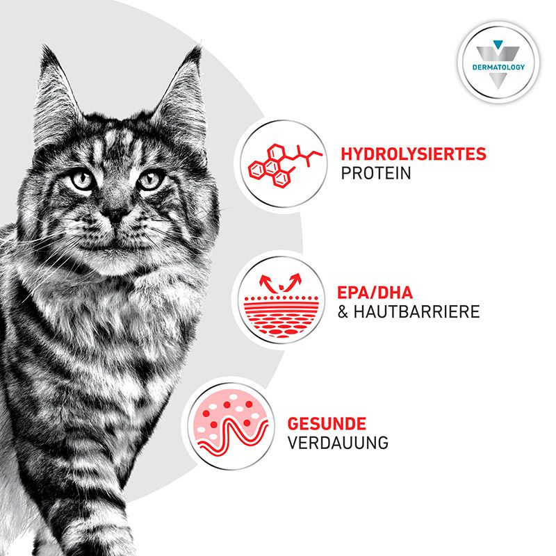 Maine Coon Katze. "Hydrolysiertes Protein", "EPA/DHA & Hautbarriere", "Gesunde Verdauung".