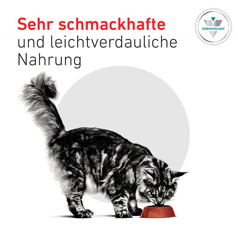 Maine Coon Katze frisst aus rotem Napf. "Sehr schmackhafte und leichtverdauliche Nahrung".