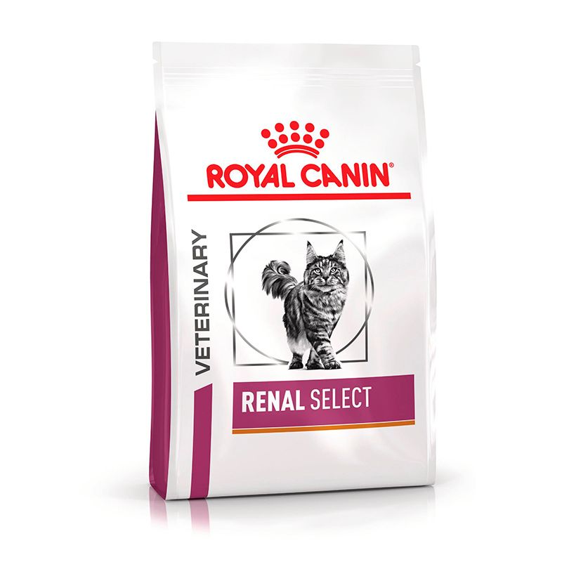 Vorderseite einer 4 kg Tüte Royal Canin Renal Select Katzenfutter mit Bild einer Katze.