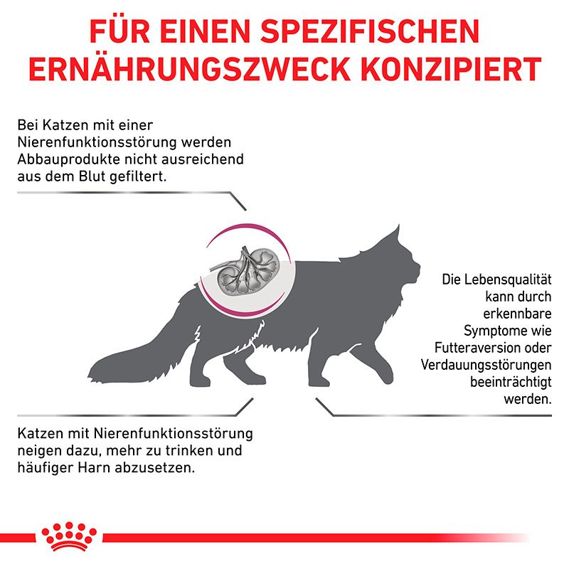 ROYAL CANIN Renal Special: Unterstützt Nierenfunktion bei Katzen.