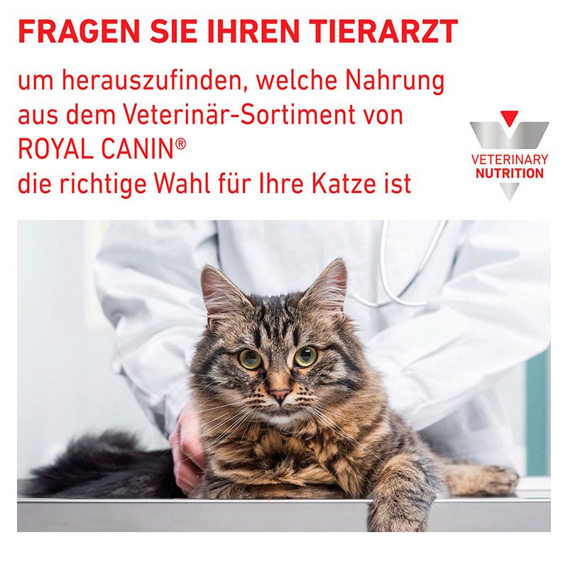 Tierarzt berät über Royal Canin Urinary S/O Moderate Calorie für Katzen.