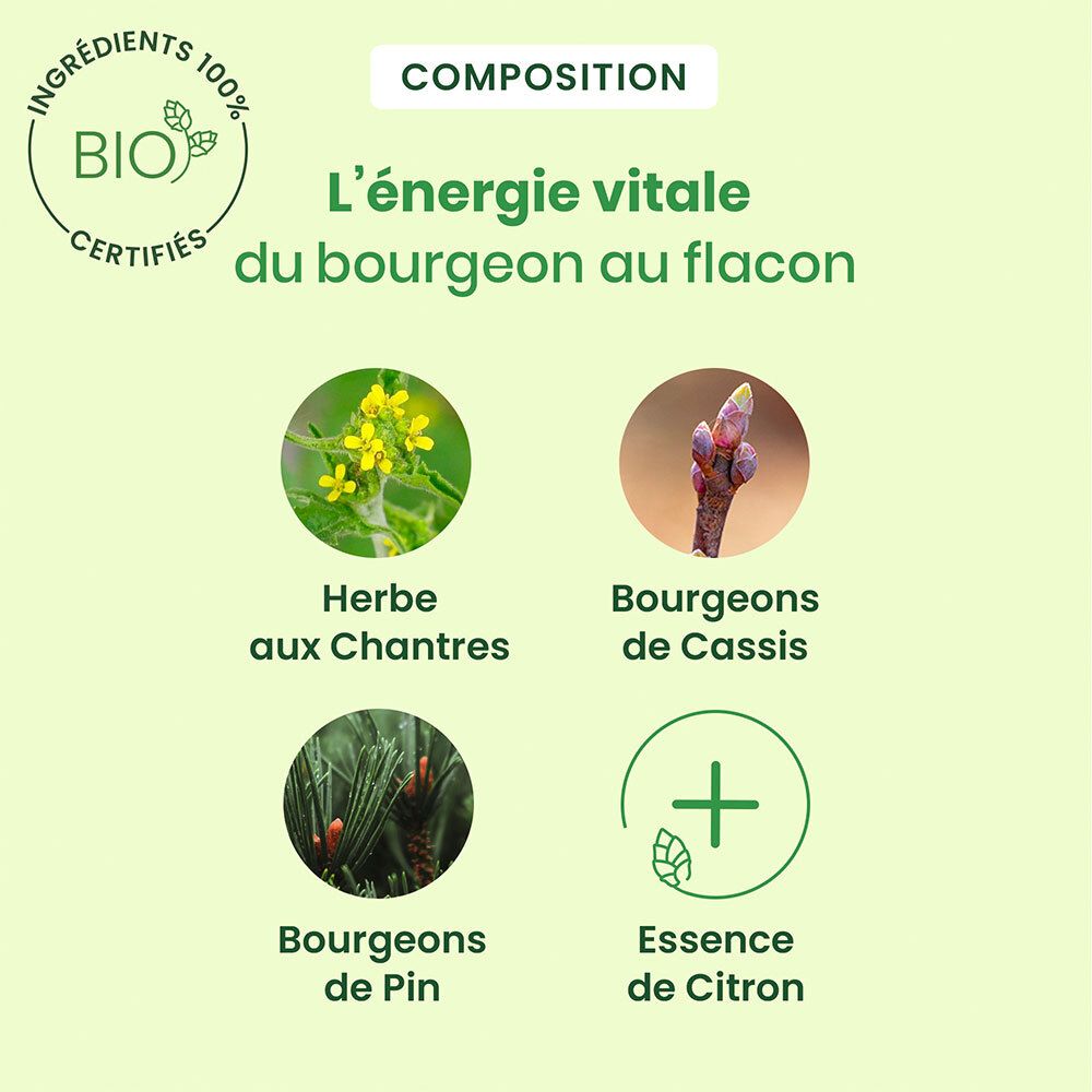 Illustraties van ingrediënten: Herbe aux Chantres, Cassis-knoppen, Dennenknoppen, Citroenessence. Tekst: L'énergie vitale.
