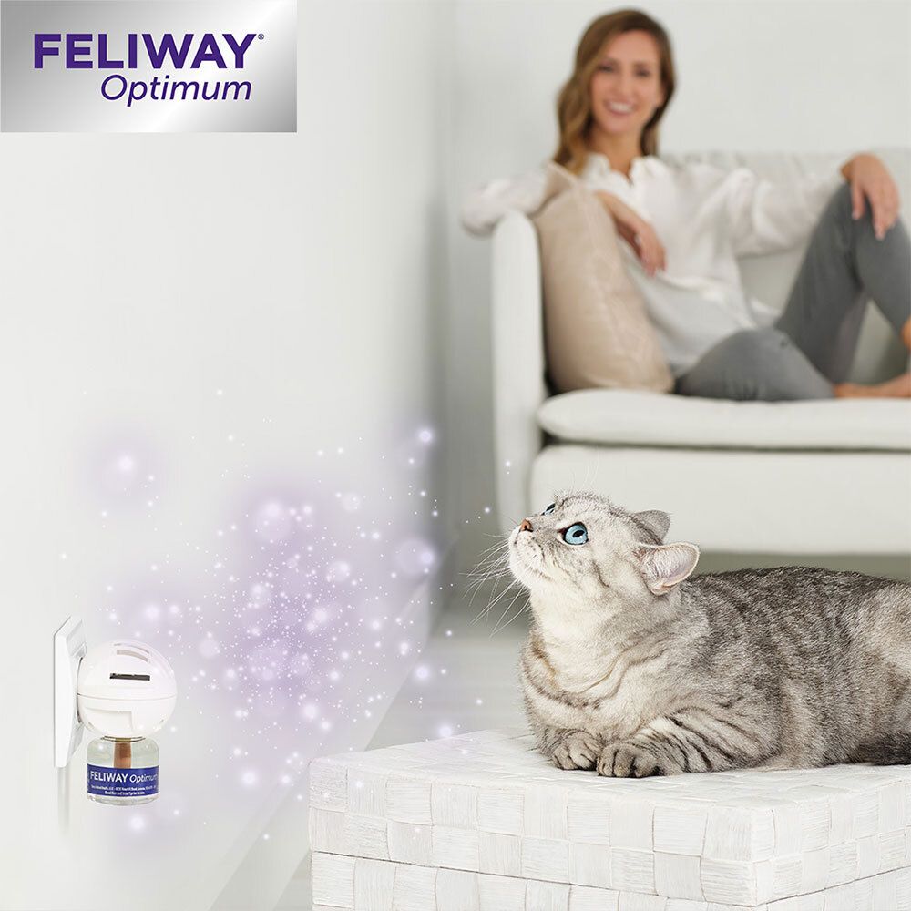 Chat regardant le diffuseur FELIWAY® Optimum branché. Femme sur un canapé.