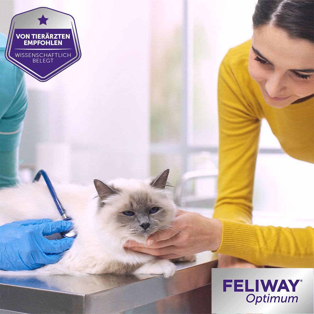 Vétérinaire examinant un chat. Logo et sceau FELIWAY® Optimum.