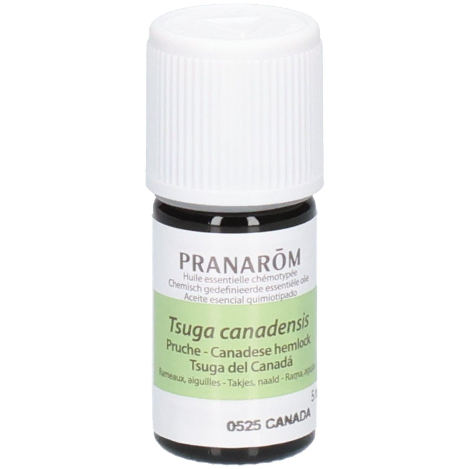 Pranarom Eo Canadese Hemlock 5ml 3,1x3,1x8 cm Ätherisches Öl