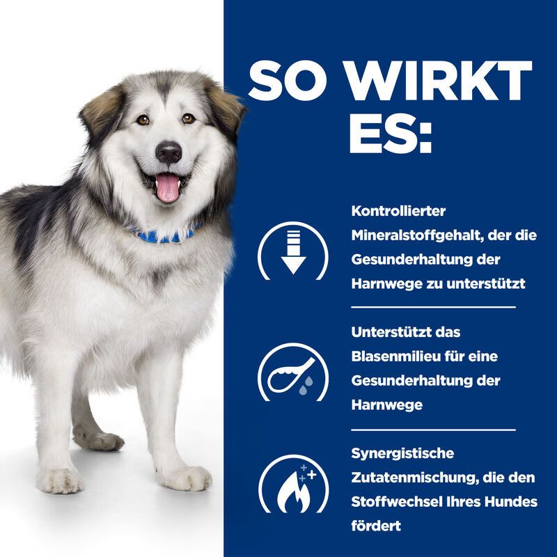 Afbeelding met hond en tekst. Tekst: Zo werkt het: Gecontroleerd mineralengehalte, ondersteunt de urinewegen. Ondersteunt de blaasomgeving. Bevordert de stofwisseling.