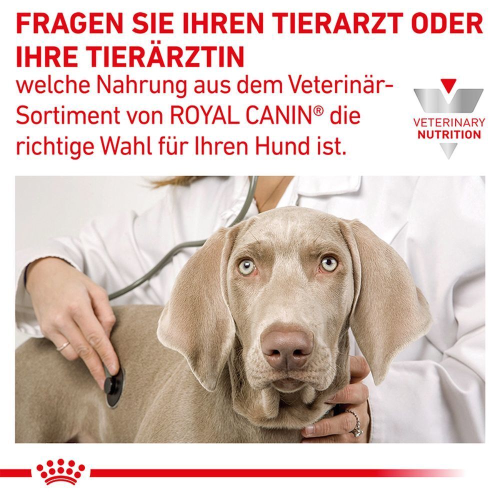 Ein Tierarzt untersucht einen Hund mit einem Stethoskop. Royal Canin Logo oben rechts.