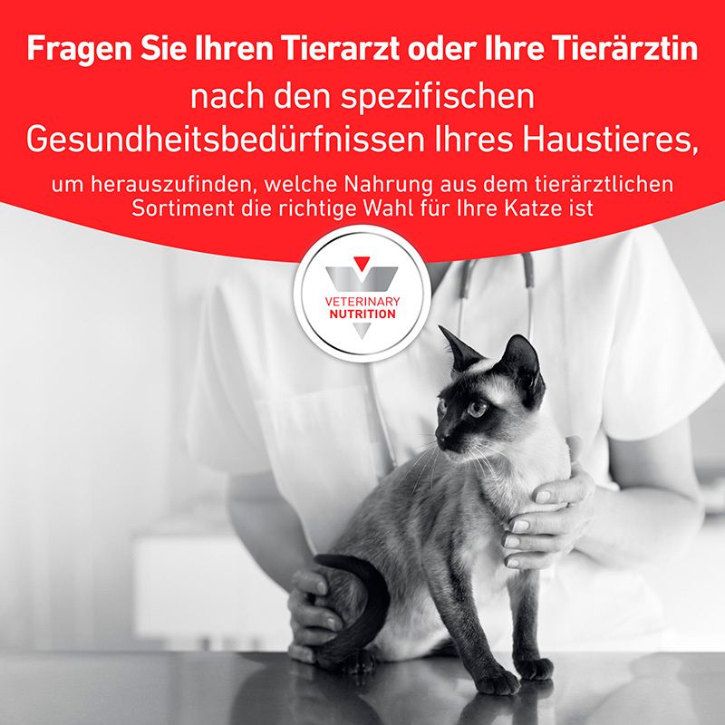 Royal Canin Veterinary Gastrointestinal Moderate Calorie Nassfutter für Katzen, dünne Scheiben in Soße.