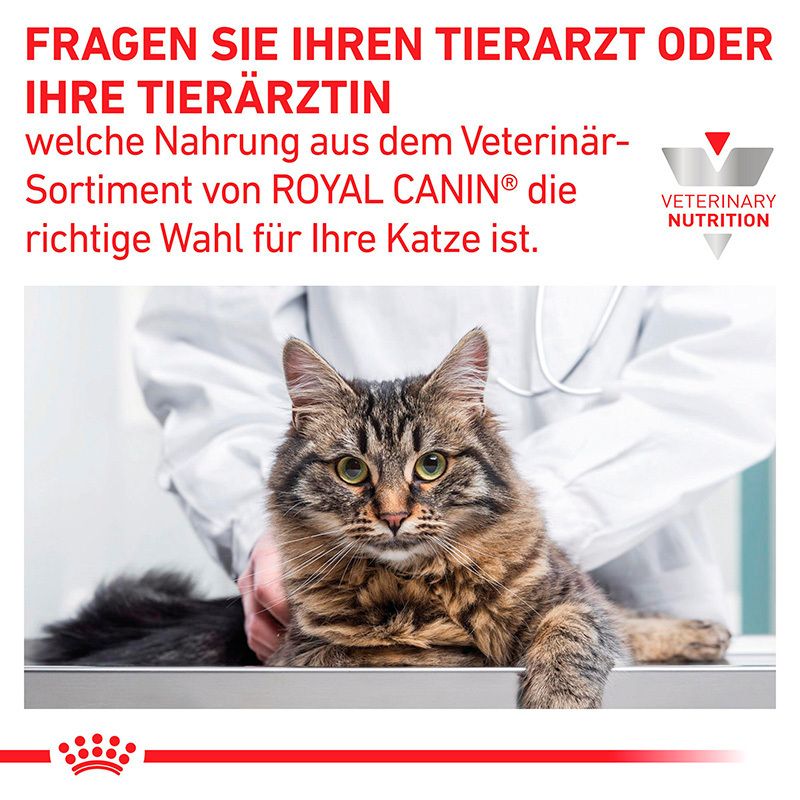 Katze auf einem Untersuchungstisch, Tierarzt im Hintergrund. Text: Fragen Sie Ihren Tierarzt oder Ihre Tierärztin, welche Nahrung aus dem Veterinär-Sortiment von Royal Canin die richtige Wahl für Ihre Katze ist.