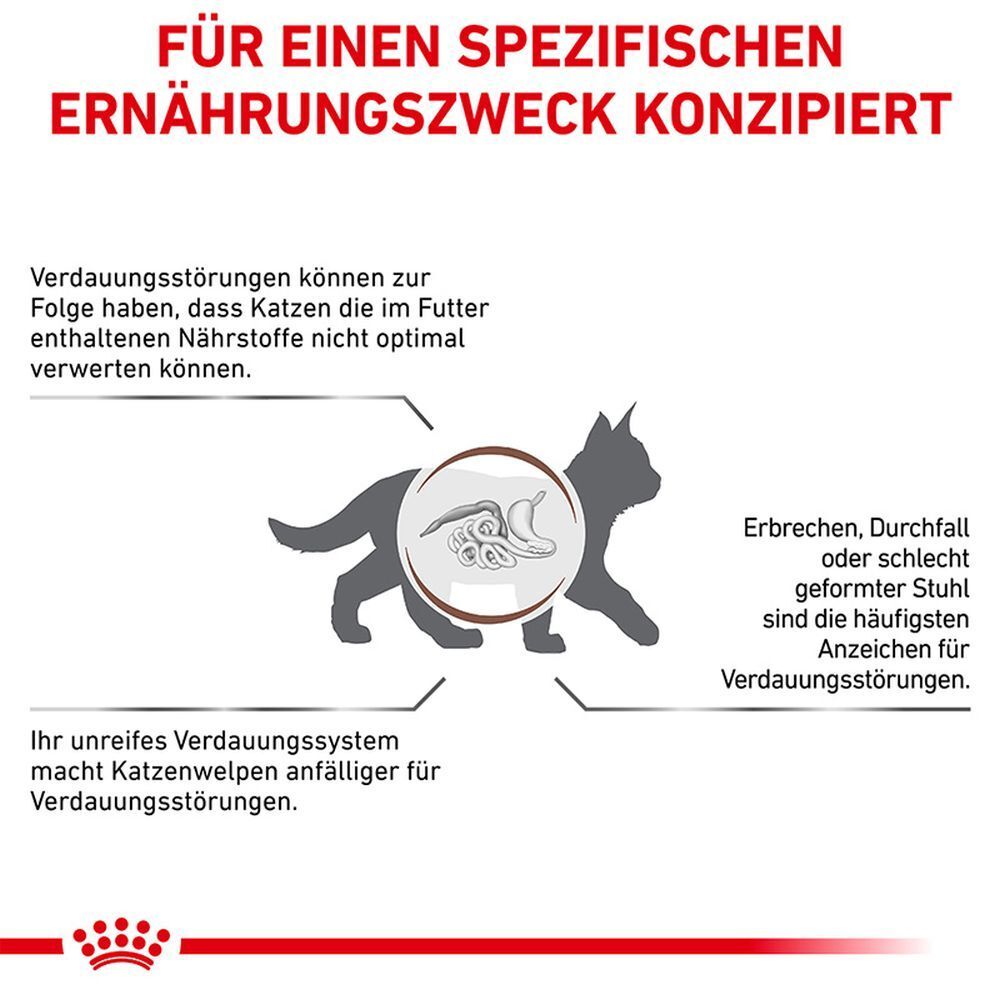 Schema zur Veranschaulichung von Verdauungsproblemen bei Katzen.