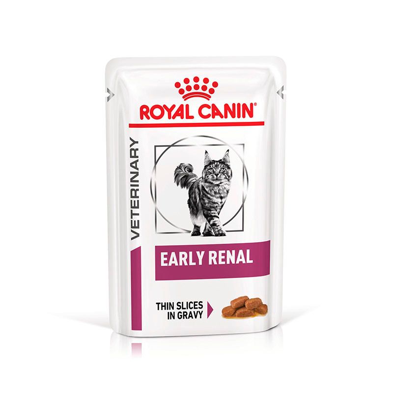 Ein einzelner Beutel ROYAL CANIN Veterinary Feline Early Renal. Zeigt eine Katze, Produktname und Futterstückchen.