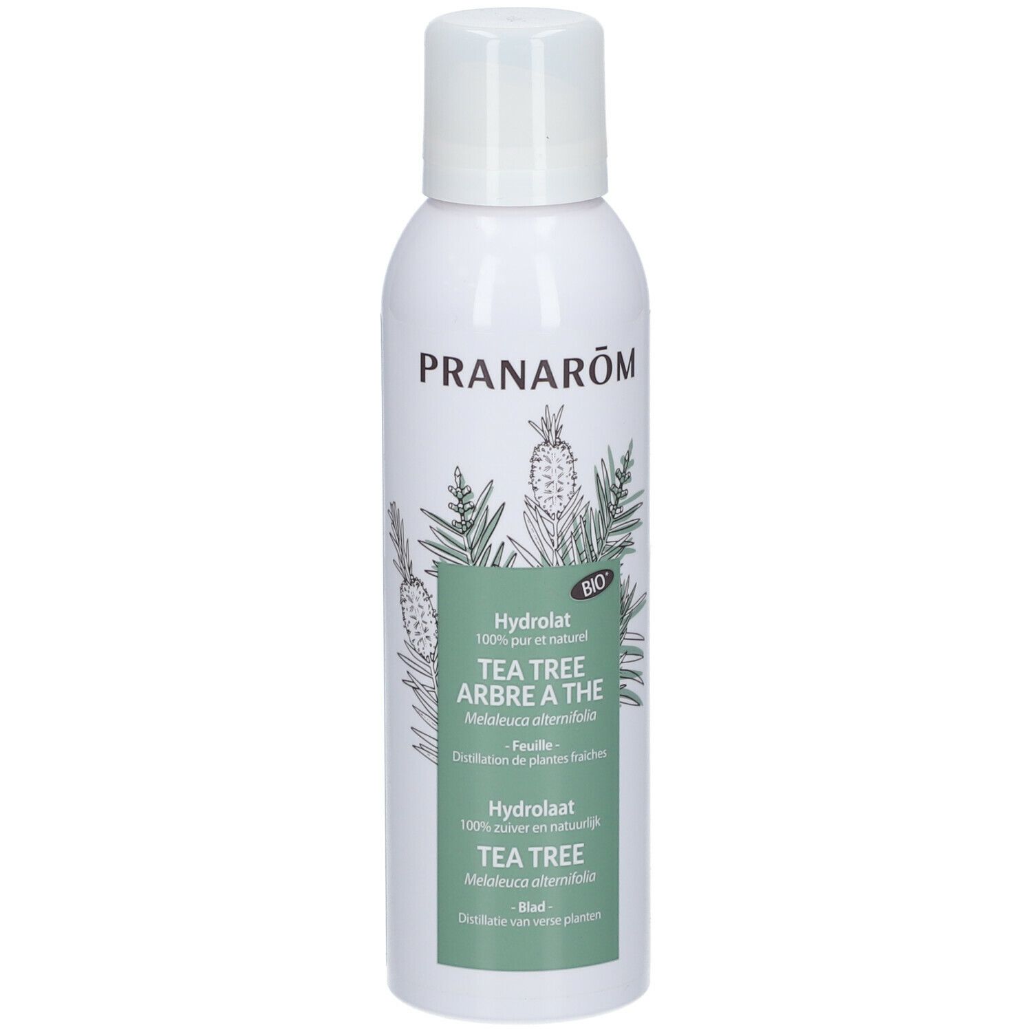 Flacon spray blanc, étiquette verte. Inscription: PRANAROM, Hydrolat Tea Tree. Certification Bio.
