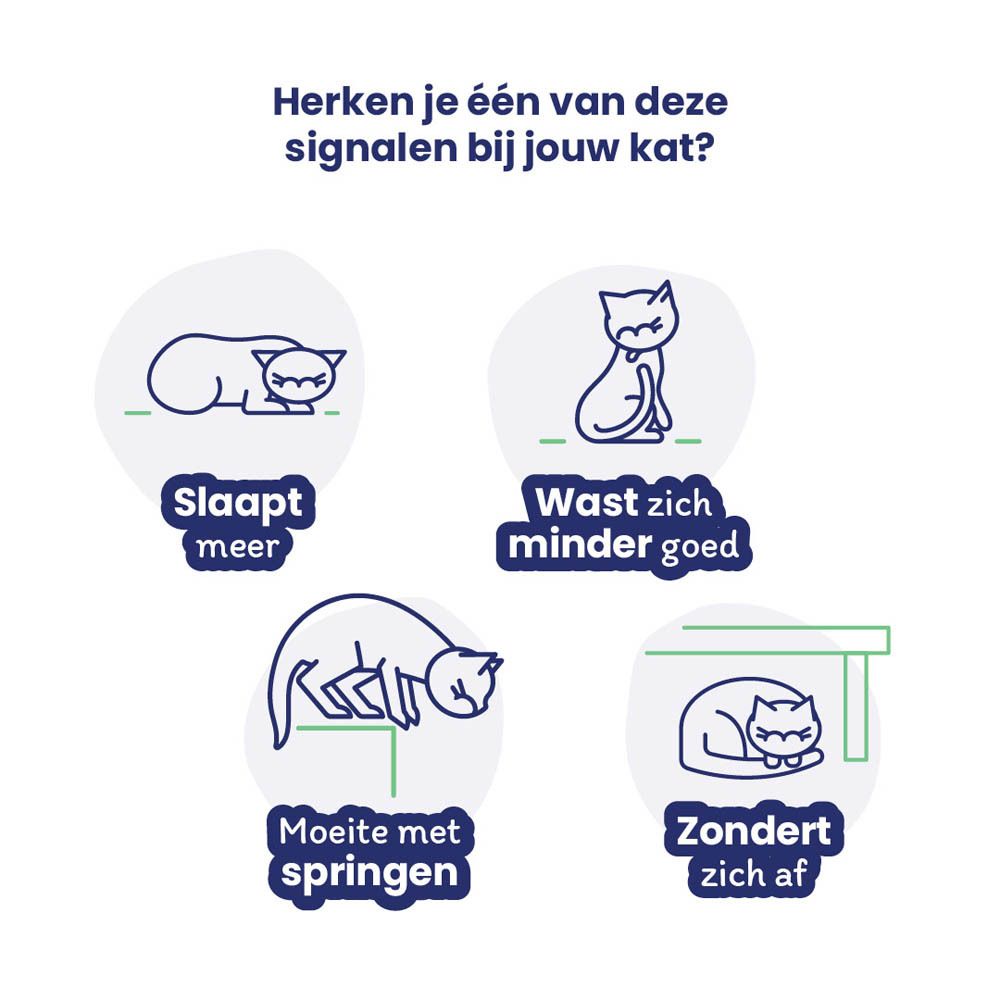 Flexadin Advanced verpakking. Bevat 30 of 60 kauwtabletten. Een kat en een hond zijn afgebeeld.