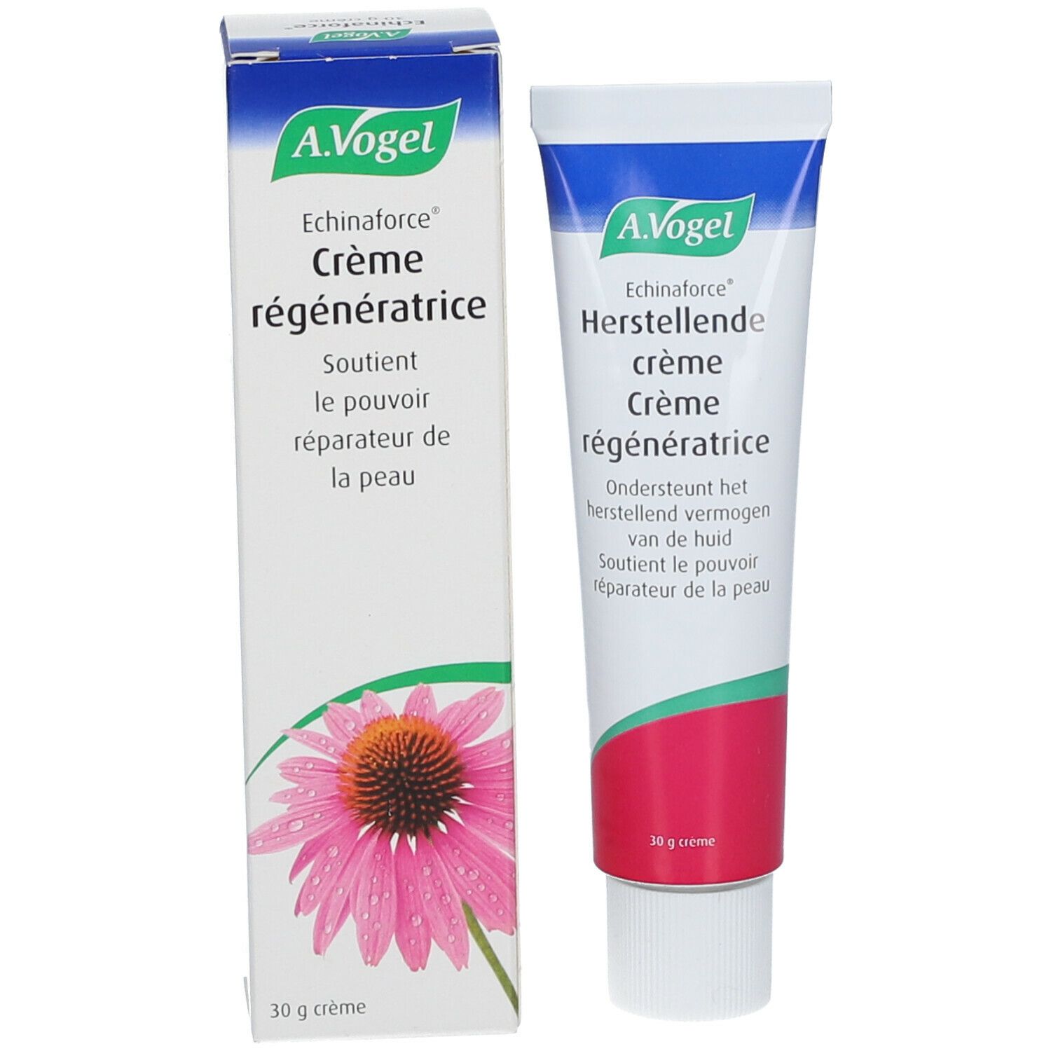 A.Vogel Echinaforce Creme, Tube und Schachtel. Tube weiß mit rotem Streifen, Schachtel weiß mit Blüte.