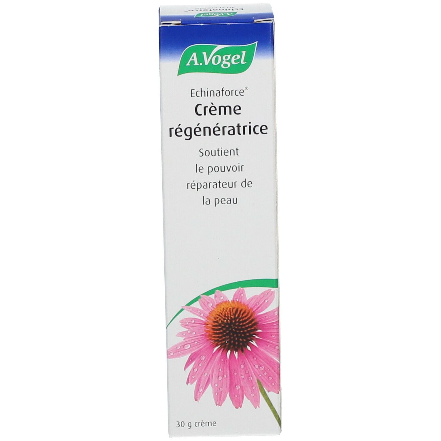 Weiße Schachtel mit A.Vogel Echinaforce Creme. Aufdruck: Blüte, Produktname, Text in Französisch.