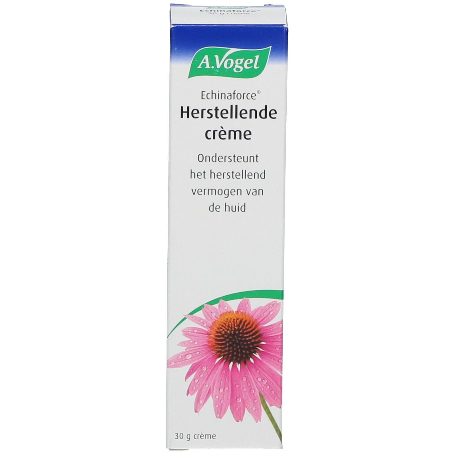 Weiße Schachtel mit A.Vogel Echinaforce Creme. Aufdruck: Blüte, Produktname, Text in Niederländisch.