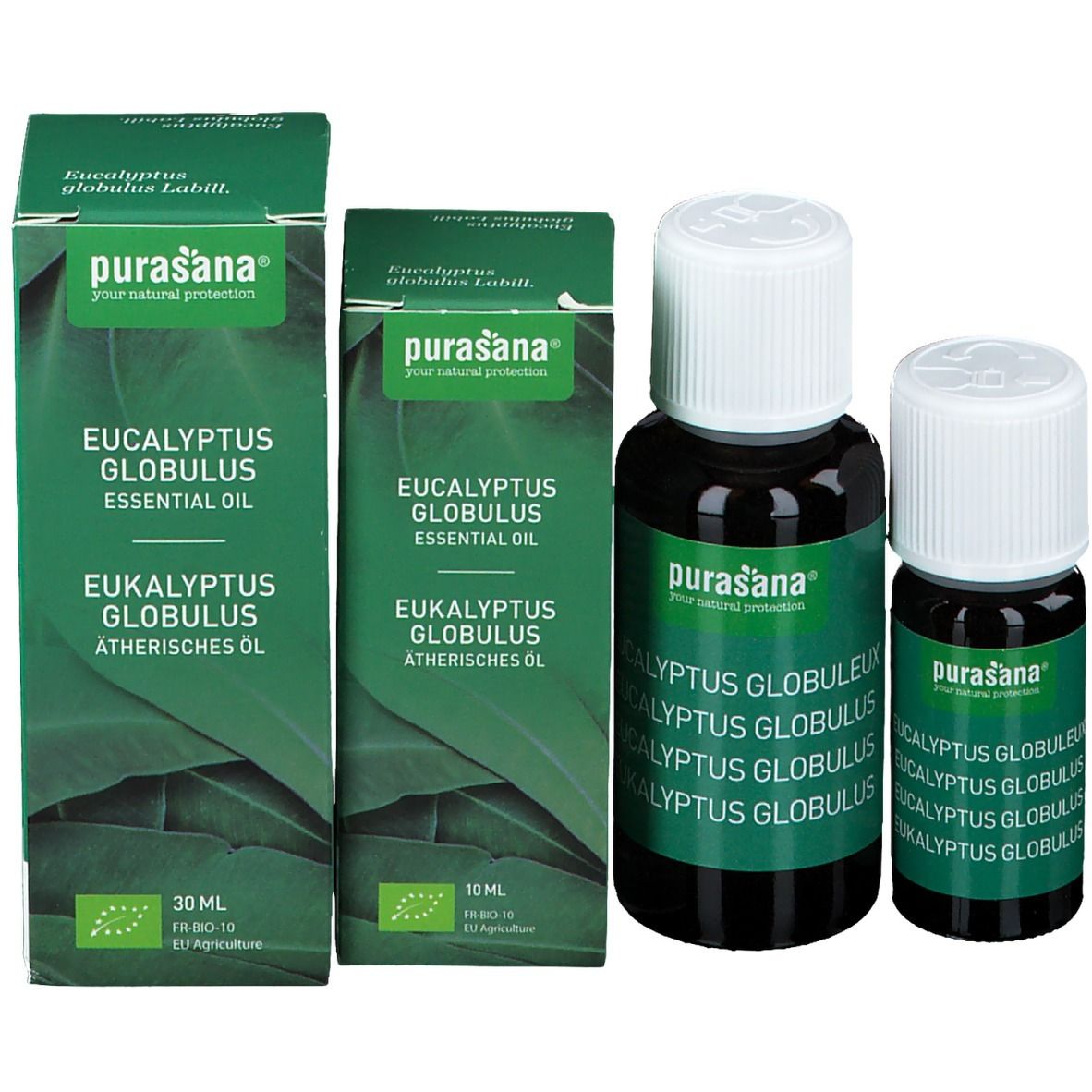 Twee flessen en twee groene dozen. Opschrift: Eucalyptus Globulus. Merk: Purasana. Bio-certificering.
