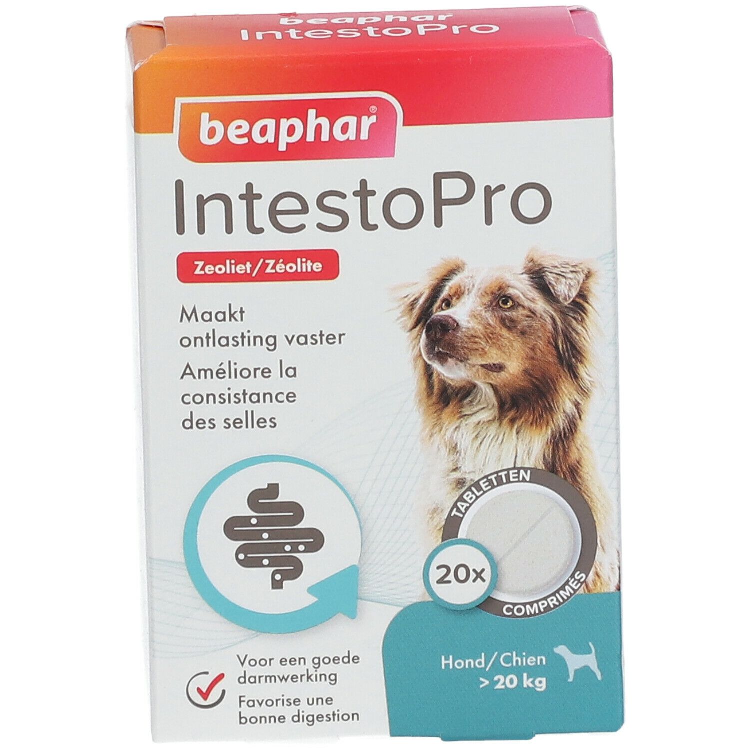 Verpakking Beaphar IntestoPro. Toont een hond, 20 tabletten. Productnaam en logo duidelijk zichtbaar.