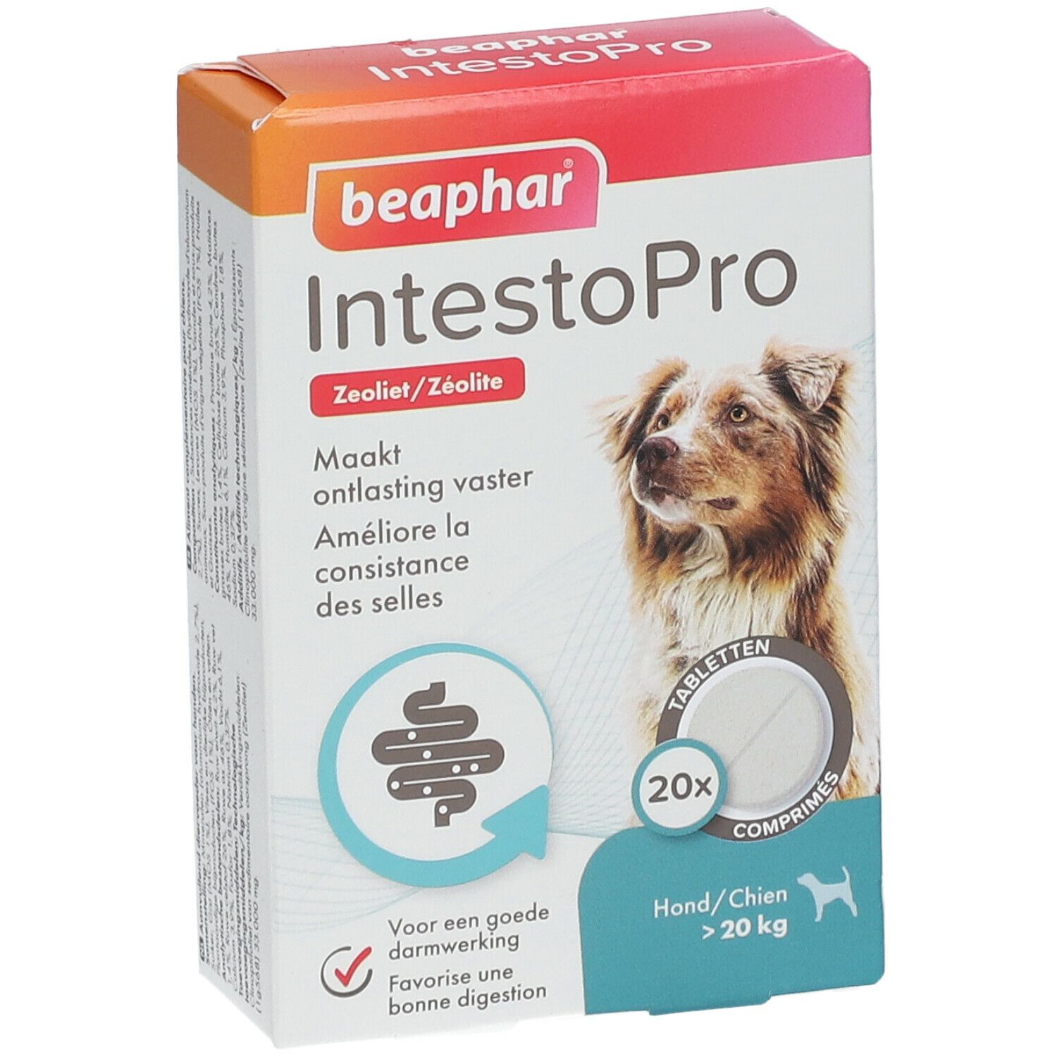 Verpakking Beaphar IntestoPro. Toont een hond, 20 tabletten. Productnaam en logo duidelijk zichtbaar.