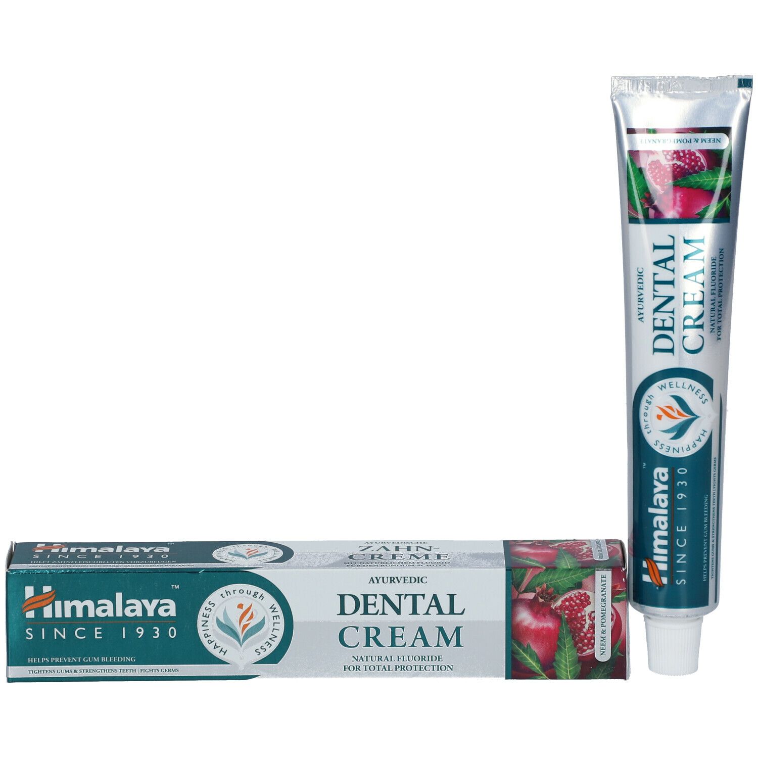 Zahnpasta-Tube und Schachtel. Tube: silberfarben, Text: Dental Cream, Himalaya. Schachtel: weiß, grün, rot, Text: Dental Cream.