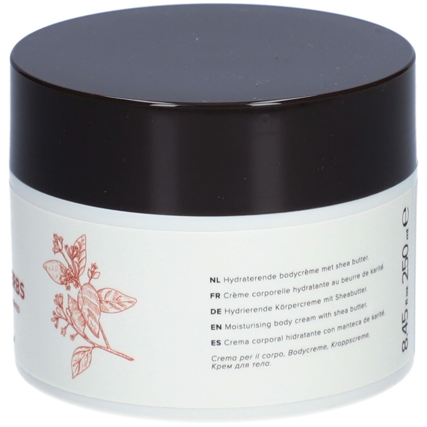 Rückseite des Cremebehälters. Aufschrift: Hydratisierende Körpercreme mit Sheabutter. 8.45 fl oz 250 ml e. Pflanzendekor.