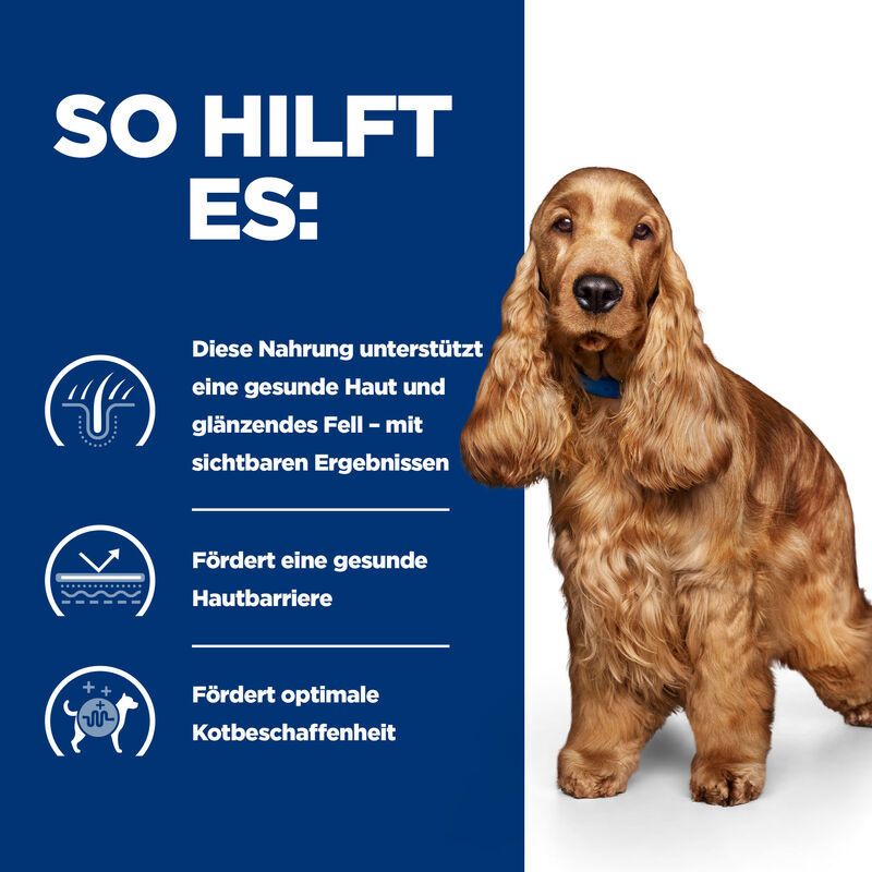 Infografik mit Text und Symbolen. Beschreibt, wie das Futter hilft. Enthält ein Bild eines Hundes.