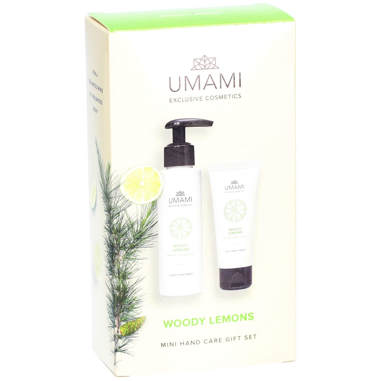 Geschenkset mit Handseife und Handcreme in einer Kartonverpackung. Logo und Produktname deutlich sichtbar.