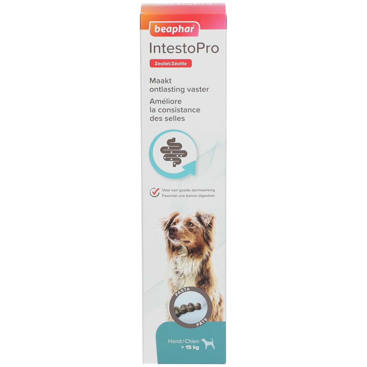 Beaphar IntestoPro Paste Hund ab 15kg. Produktverpackung mit Produkt und Hund. Text: Macht ontlasting vaster, Améliore la consistance des selles.