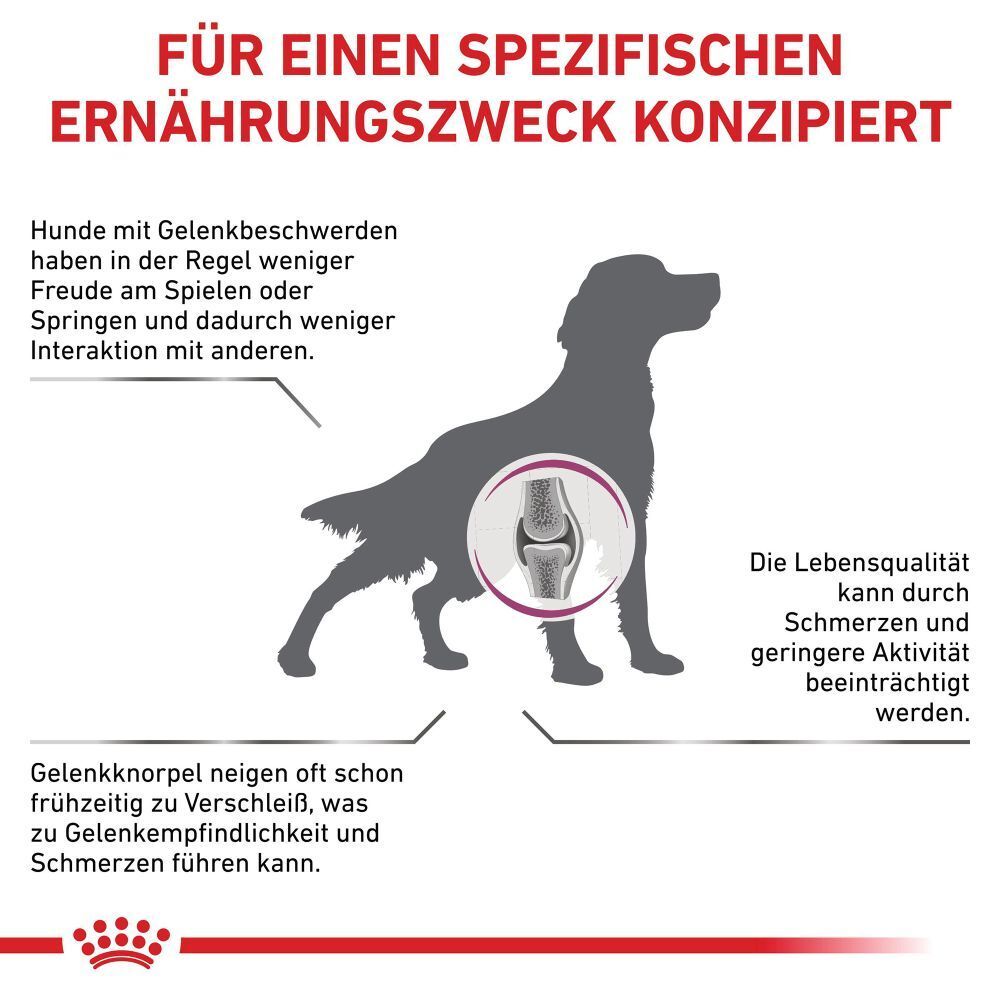 Grafik eines Hundes mit Fokus auf das Kniegelenk, das Gelenkprobleme bei Hunden thematisiert.