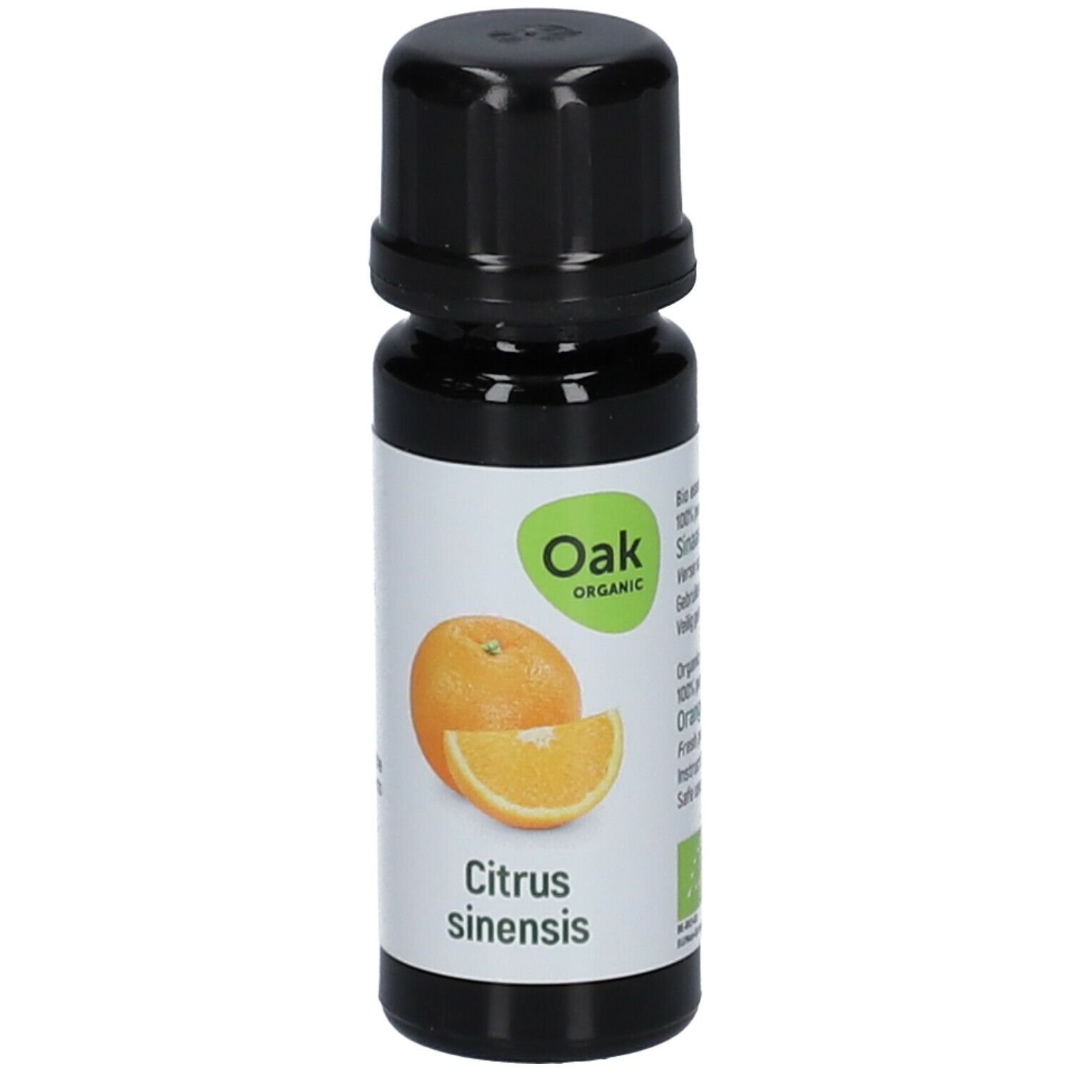 Oak Citrus sinensis