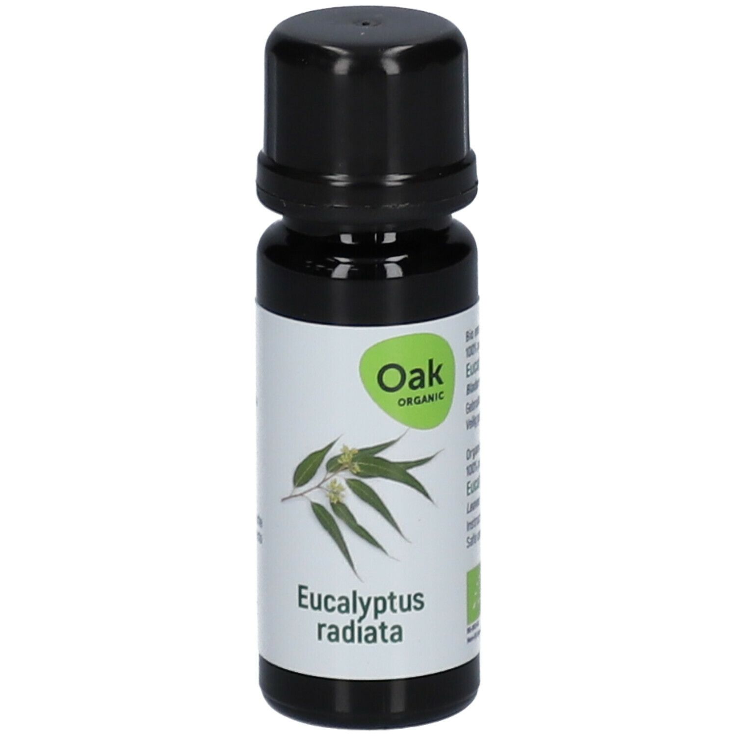 Oak Huile Eucalyptus radiata