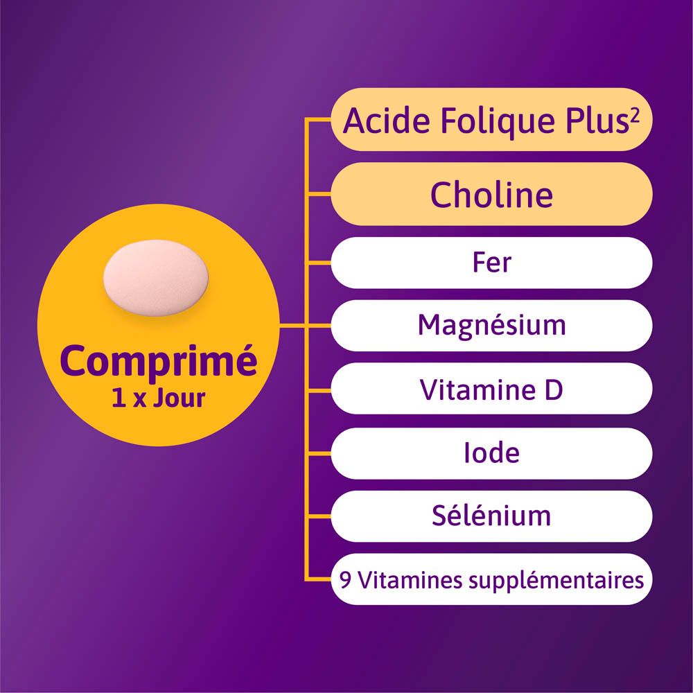 Infographie. Arrière-plan violet avec texte et flèches. Logo Omnibionta.