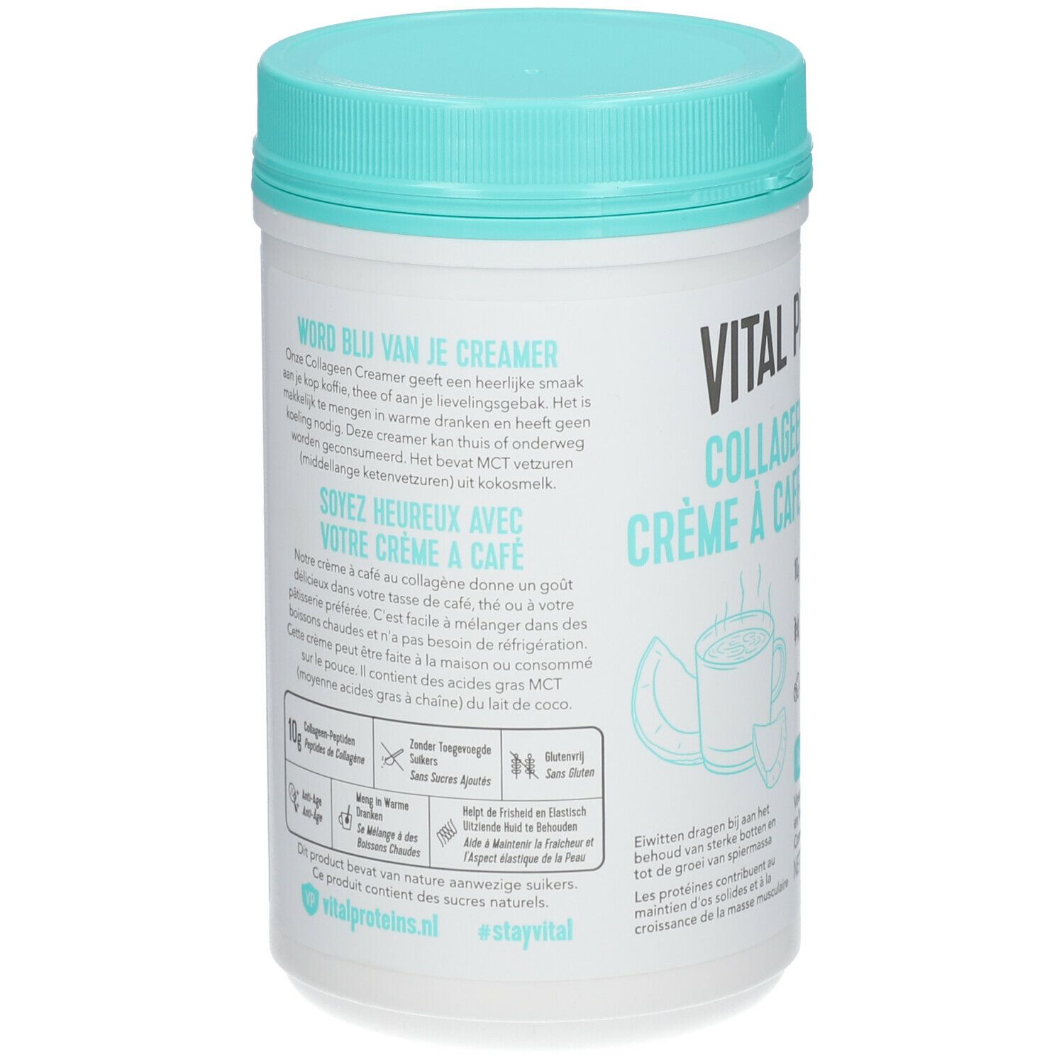Rückseite der Vital Proteins Collagen Creamer Kokos Dose. Text in mehreren Sprachen. Enthält MCT-Fette aus Kokosnuss.
