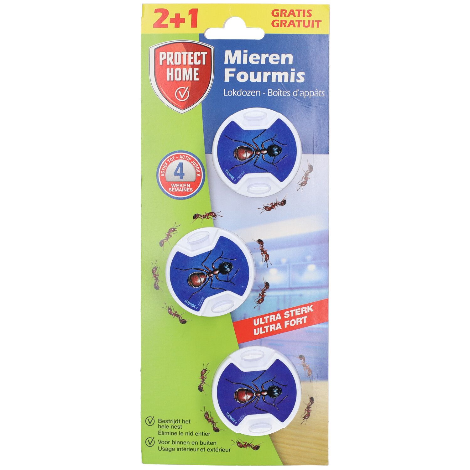 Protect Home Mierenlokdozen 3 St Doos