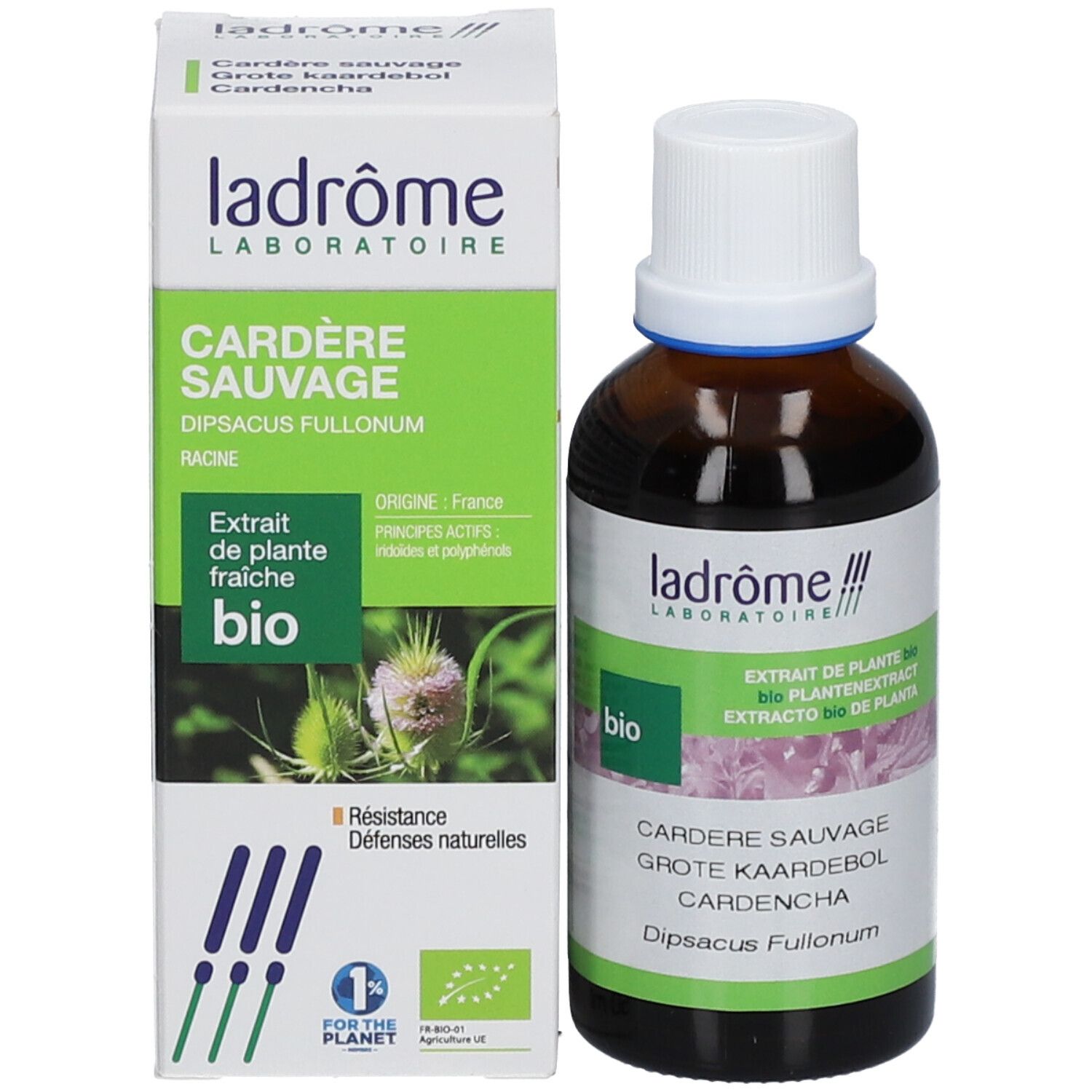 Flacon en verre brun et emballage. Texte: Cardère Sauvage, Extrait de plante fraîche bio. Certification bio. 50 ml.