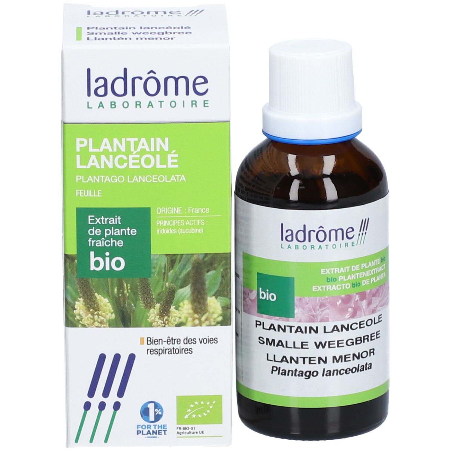 Produktflasche und Verpackung. Braune Flasche, weiße Kappe, grüne Verpackung. Bio-Zertifizierung.
