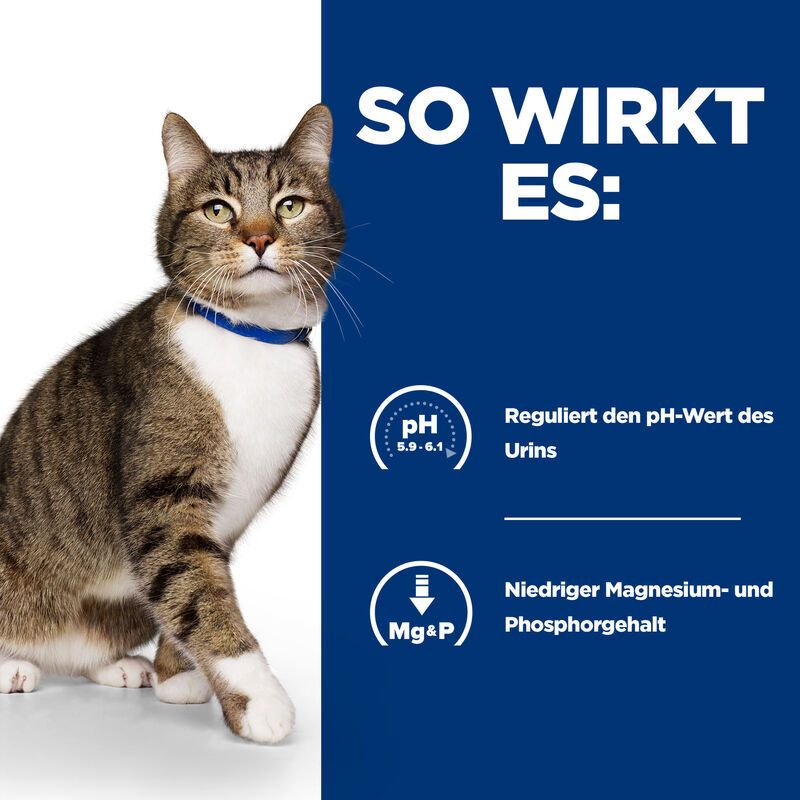 Grafik mit Katze und Text: Reguliert pH-Wert des Urins, niedriger Magnesium- und Phosphorgehalt.