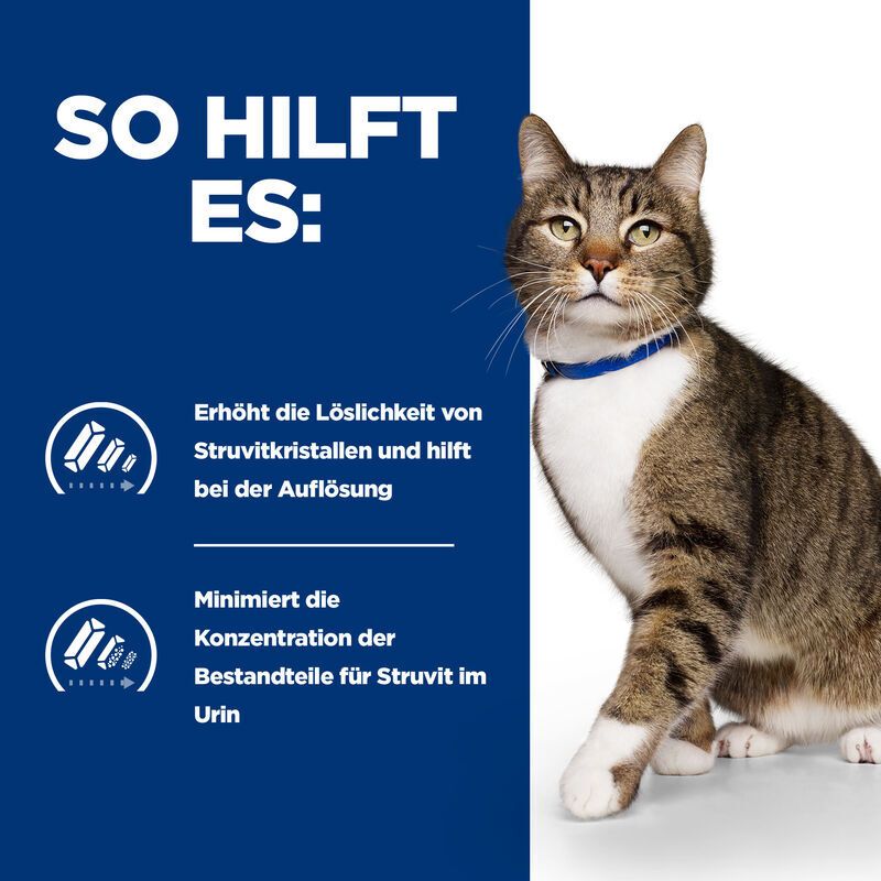 Grafik mit Katze und Text: Erhöht die Löslichkeit von Struvitkristallen, minimiert Konzentration von Bestandteilen für Struvit im Urin.